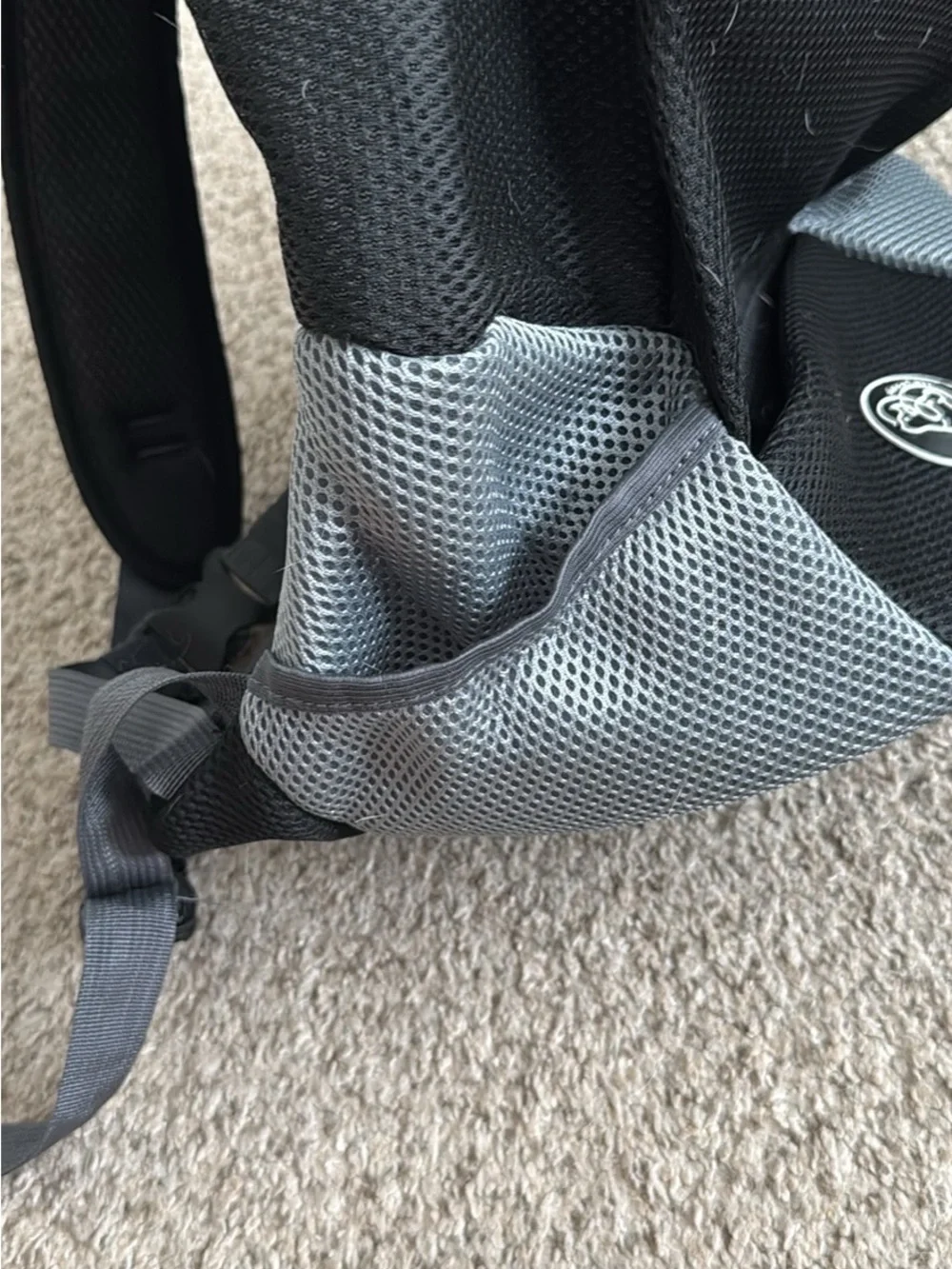 Dog backpack
